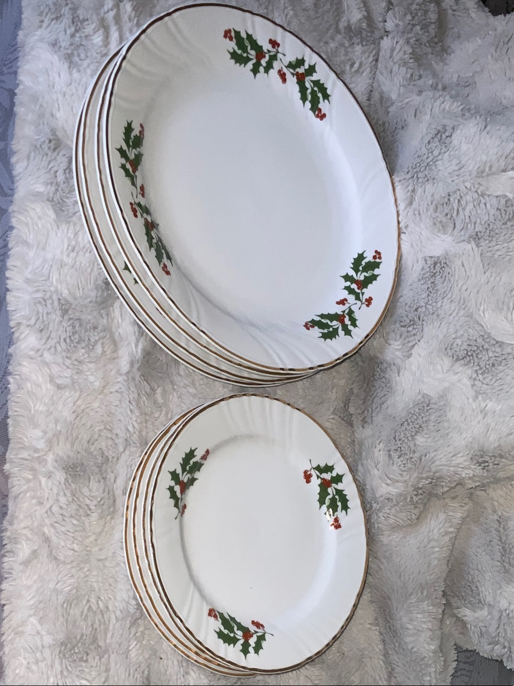 Festive Holly Dinner Plates - White with Green & Red Accents